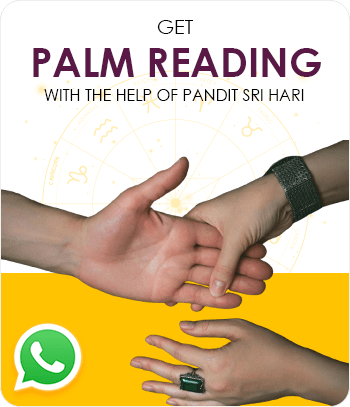 palm reading services